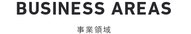 事業領域